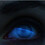 bernique_bleue